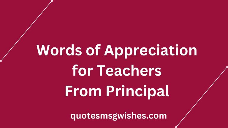 60 Words of Appreciation for Teachers From Principal and Parents