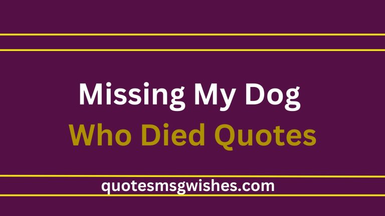 35 Tributes and Missing My Dog Who Died Quotes